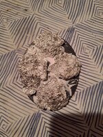 20230220_230209.jpg