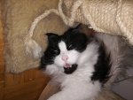 IMG_20200522_113853.jpg