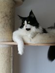 IMG_20191101_094720.jpg