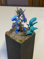 IMG_9785.JPEG