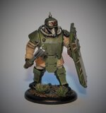 Dkok Bullgryn Solo Astra Militarum.jpg