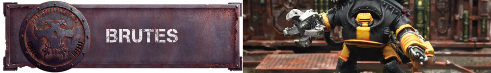 Banner-29.jpg