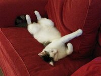 IMG-20171223-WA0002.jpg