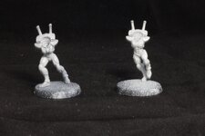 ivory_primer2.jpg