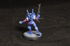 g1_wip_h.jpg