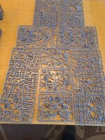 20230616_195321.jpg 20230616_195321.jpg