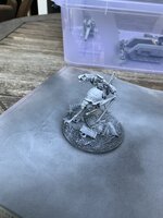 IMG_7393.jpeg