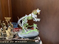 IMG_4515.jpeg