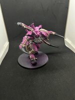 IMG_1565.JPEG