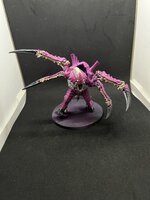 IMG_1562.JPEG