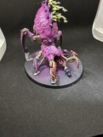 IMG_1603.JPEG