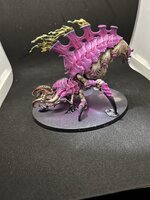 IMG_1606.JPEG