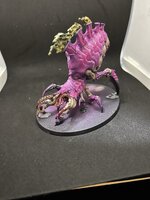 IMG_1607.JPEG