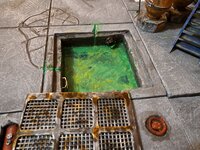 20230715_191035.jpg