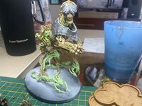 IMG_4555.jpeg
