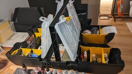 PXL_20230619_170513408.jpg