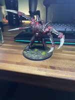 IMG_9997.jpeg
