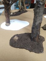 IMG_20230914_165812_2.jpg