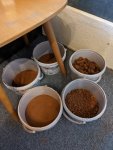 PXL_20201016_123611744.jpg