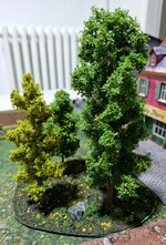 20230919_185230.jpg
