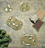 20230921_201019.jpg