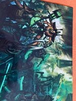 IMG_1236.jpeg