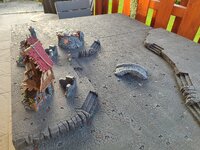 IMG_20231002_082955.jpg