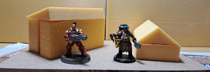 20231016_224205.jpg
