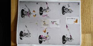 IMG_20231105_145512.jpg