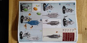 IMG_20231105_145411.jpg