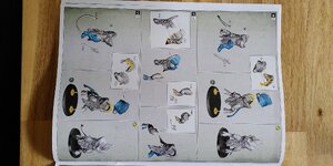 IMG_20231105_145312.jpg