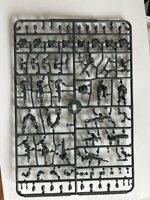 IMG_5885.jpeg