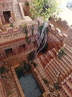 LN 051.jpg