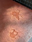 PXL_20201022_110140604.jpg