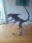 20201030_113321.jpg