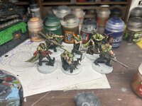 IMG_6005.jpeg