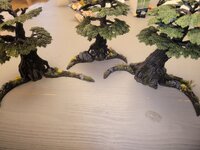 IMG_20231218_193738.jpg