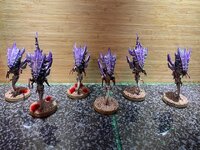 zoas 1.jpg