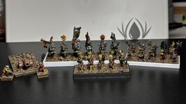 IMG_6544.jpeg