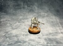 IMG_9979.jpeg