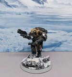 Reiver Wolfsgardist.jpg