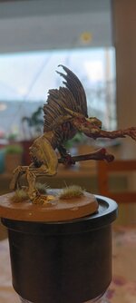 20240313_120628.jpg