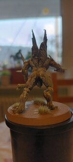 20240313_120636.jpg