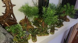 DSC_1573.JPG