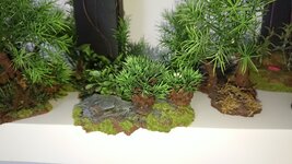 DSC_1577.JPG