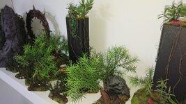 DSC_1575.JPG