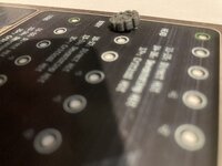 IMG_9505.jpeg