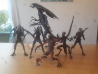 20201117_143728.jpg