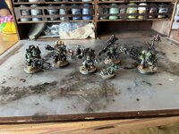 IMG_3132.jpeg