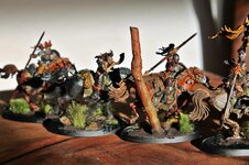 IMG_8679.JPG